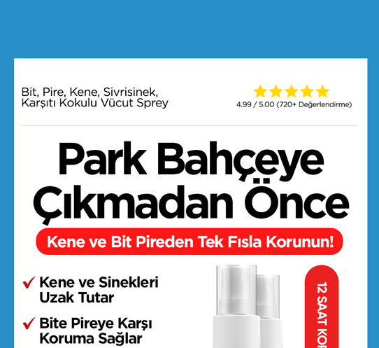 Başlık