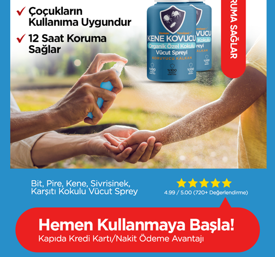 Başlık