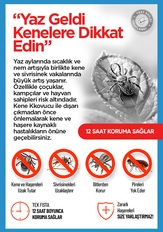Başlık